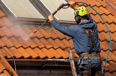 Démoussage et hydrofuge de toiture à Chastreix